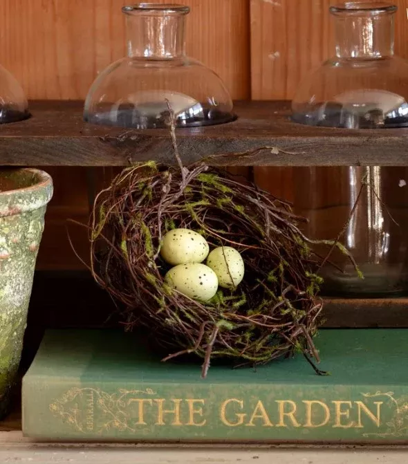 Nest with Eggs