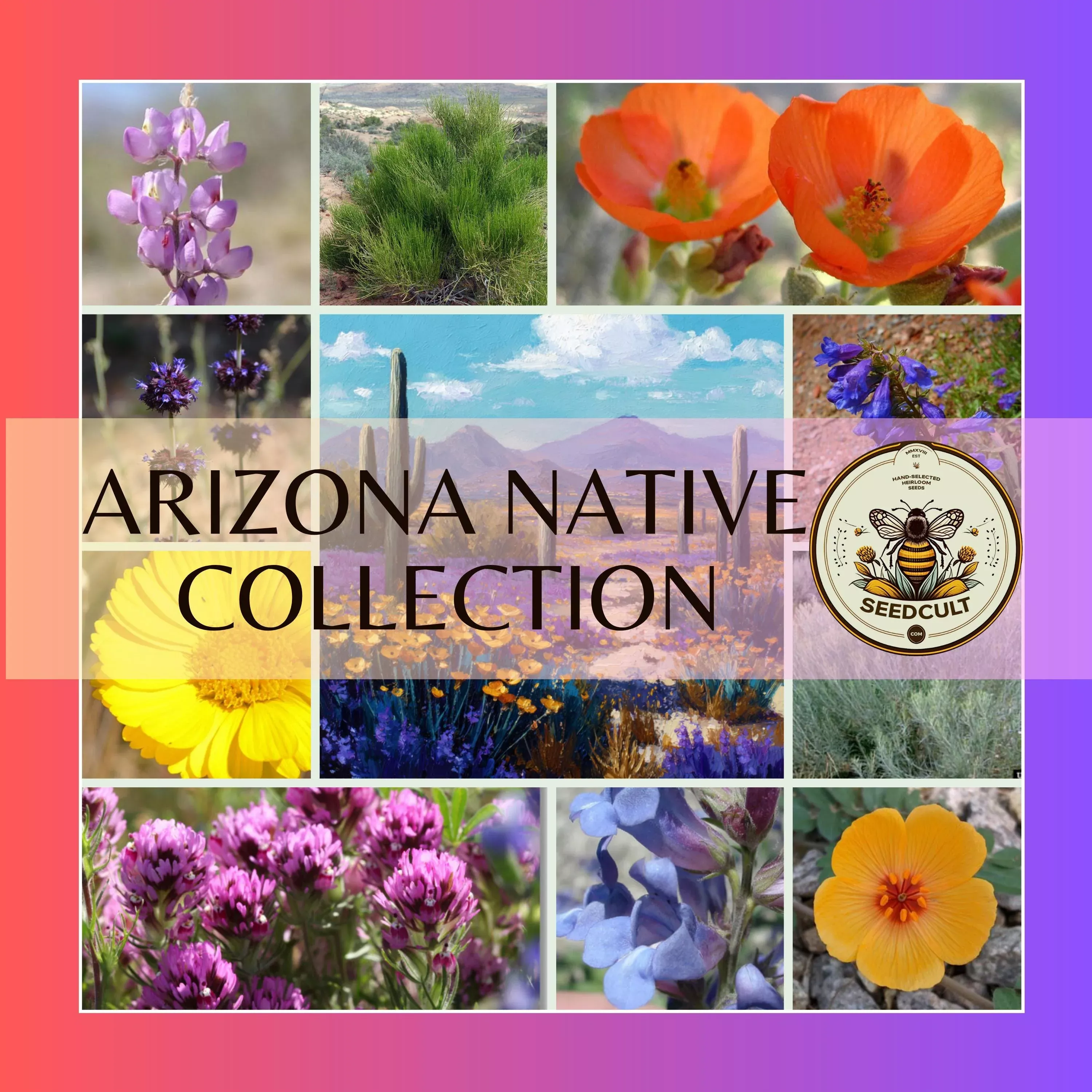NEW! Arizona Native Seed Collection, 2,000+ Seeds, Gift Box, 18 Individual packs, Free Shipping
