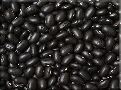 Nicaraguan Black Turtle Bean
