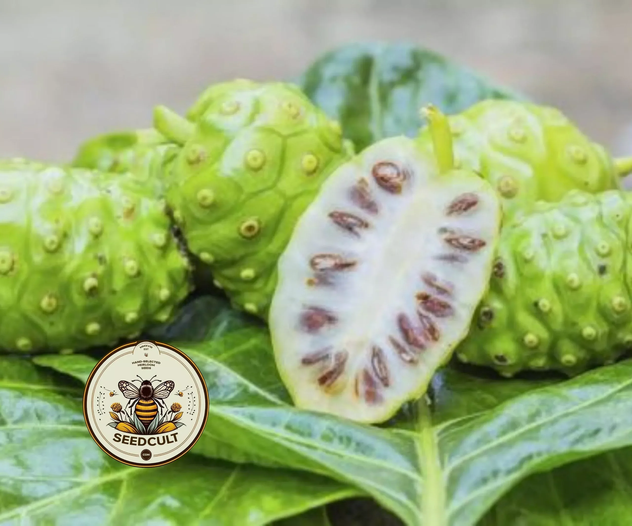 NONI
