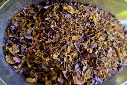 Nymphaea Caerulea (Blue Lotus) Organic Tea Cut Flowers WHOLESALE