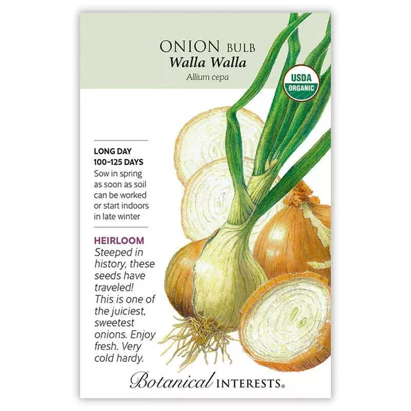 Onion Bulb seeds 'Yellow WallaWalla'