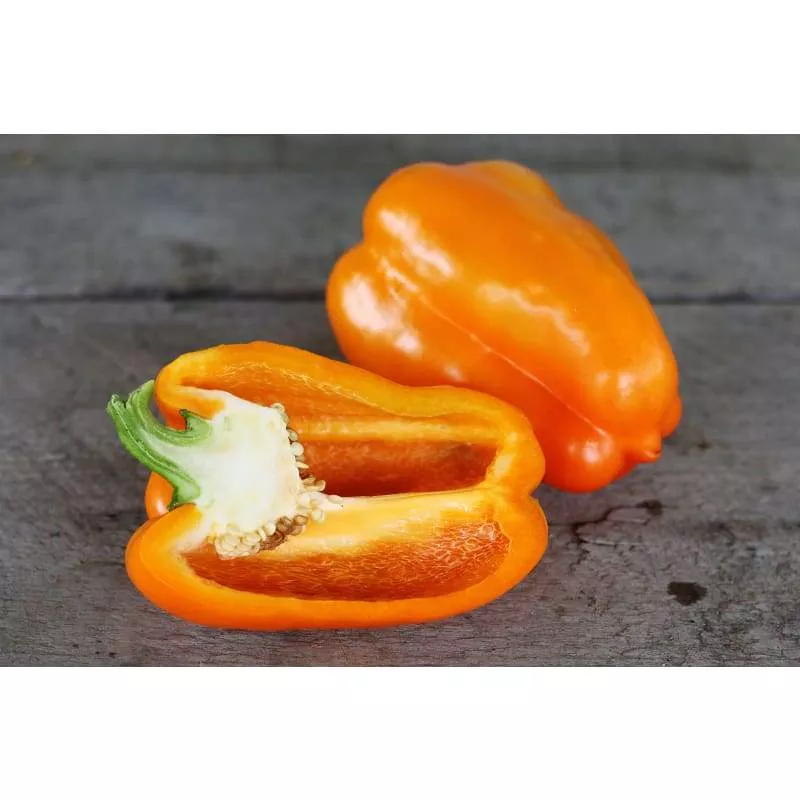 Orange Sun Bell Pepper - 4" pot