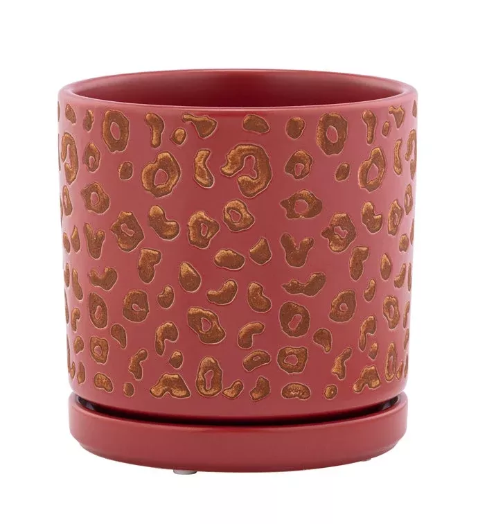 Orange & Yellow Pieces Planter With Saucer | Napco