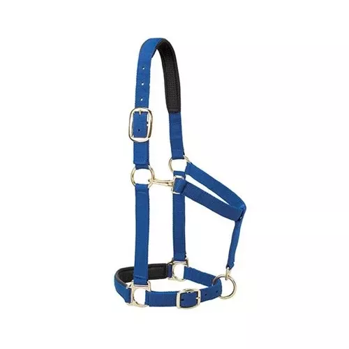Padded Adj Equine Chin & Throat Blue