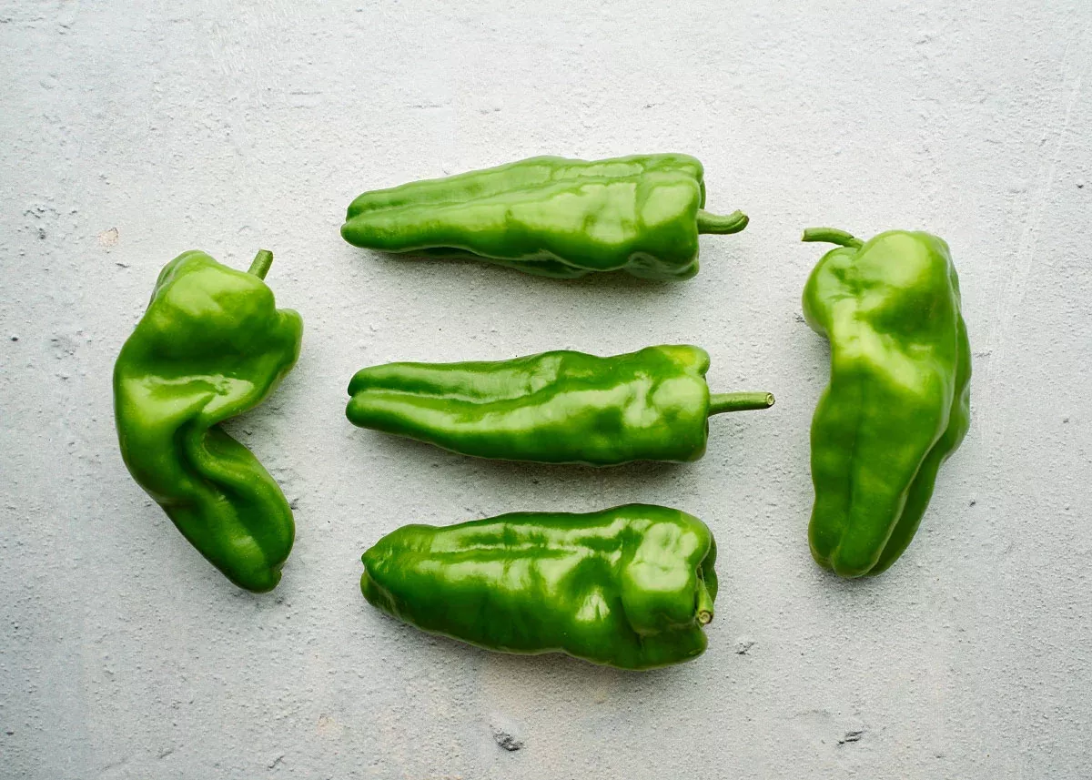 Padron - Hot Pepper Seeds