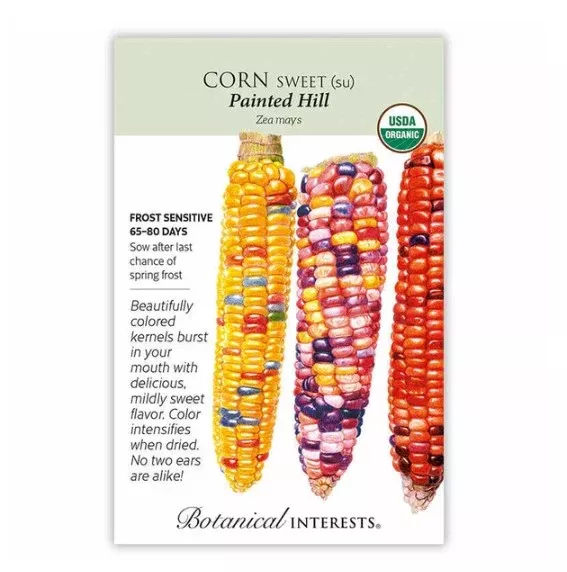 Painted Hill Org Sweet Corn Seeds
