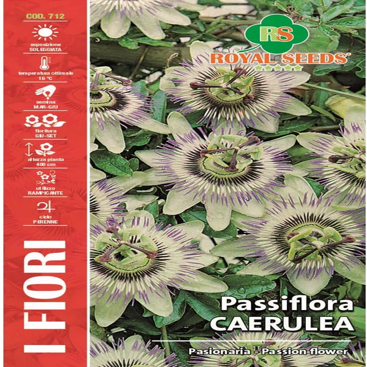 Passion Flora – Royal Seed RYMF341/30