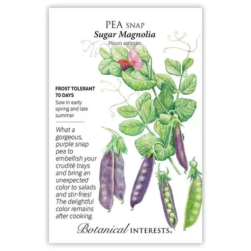 Pea Snap 'Sugar Magnolia'
