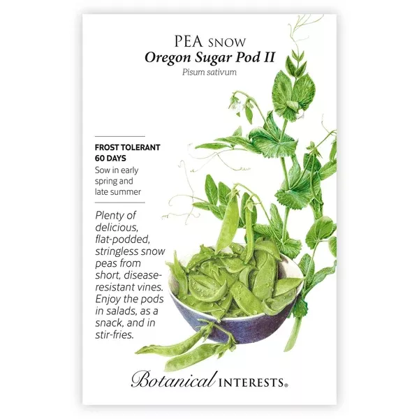 Pea Snow seeds 'Oregon Sugar Pod'