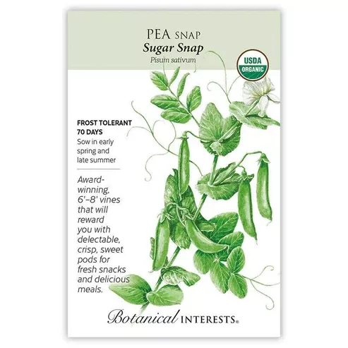 Pea 'Sugar Snap' Organic - Large