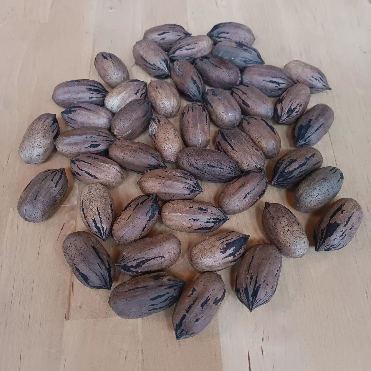 Pecan