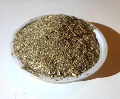 Pedicularis Bracteosa (Bracted Lousewort) c/s Herb (WHOLESALE)