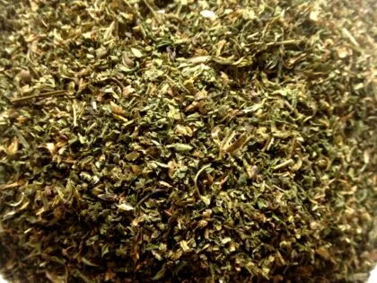 Pedicularis Racemosa (Parrot’s Beak) c/s Herb