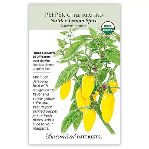 Pepper Chile 'Jalapeno Lemon'