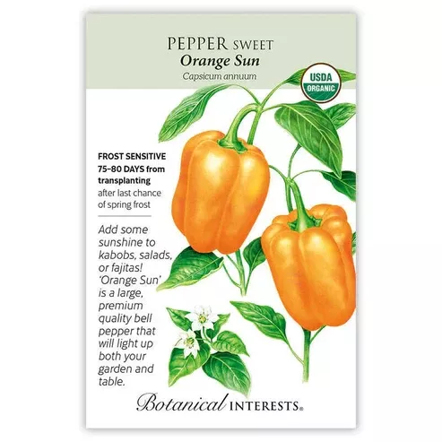 Pepper Sweet 'Orange Sun'