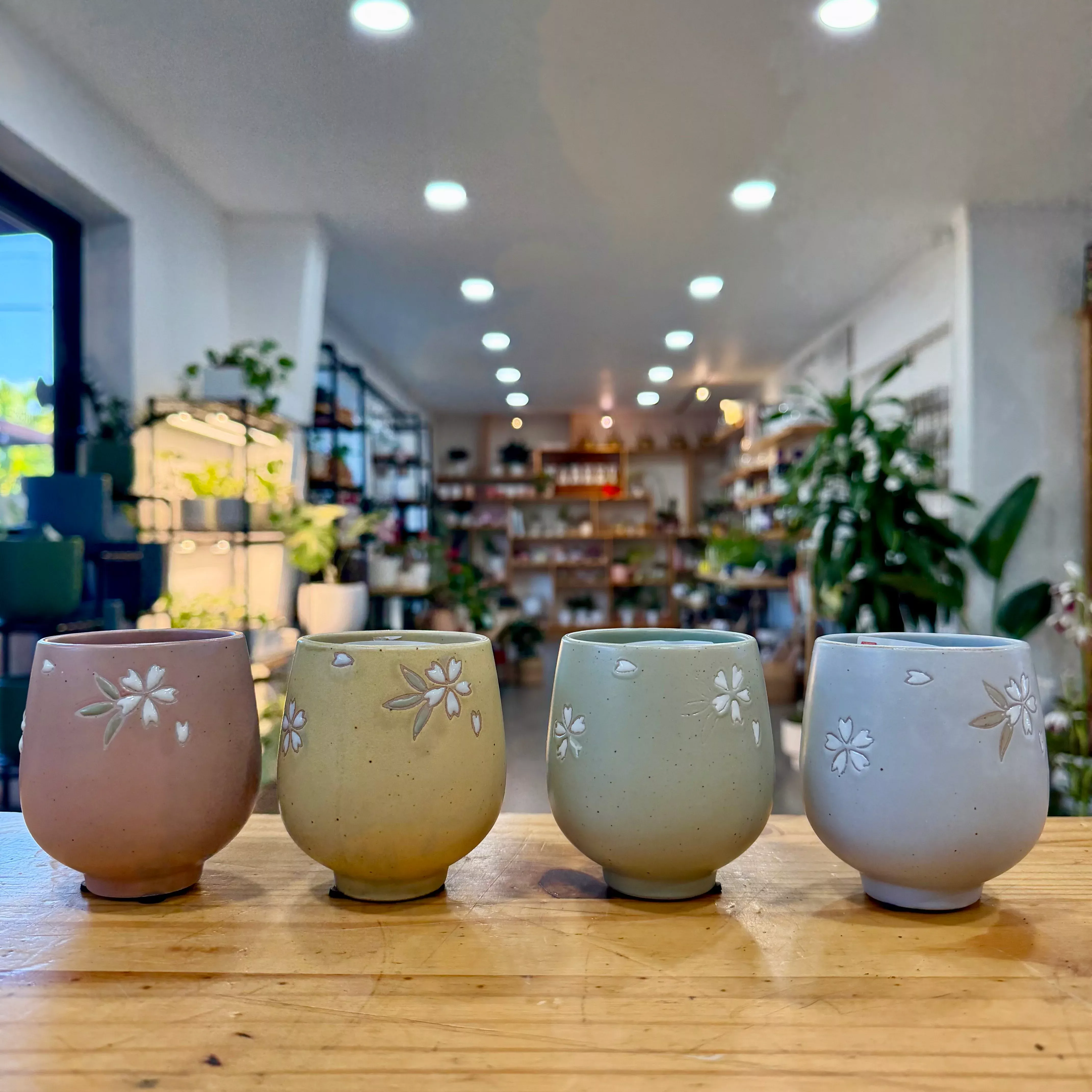 Petal Planter