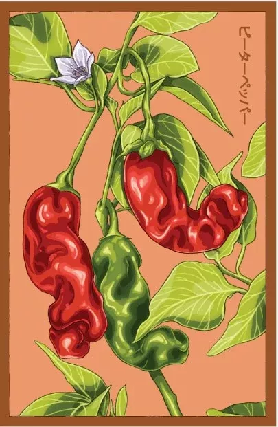 Peter Pepper Vegetable Seeds Packet