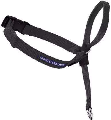 Petsafe Gentle Leader X-Large over 130 lbs