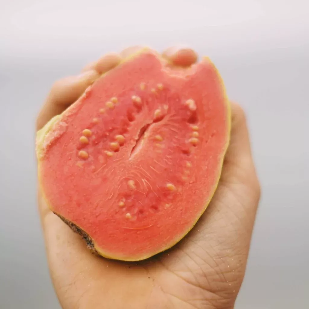 Pink Guava