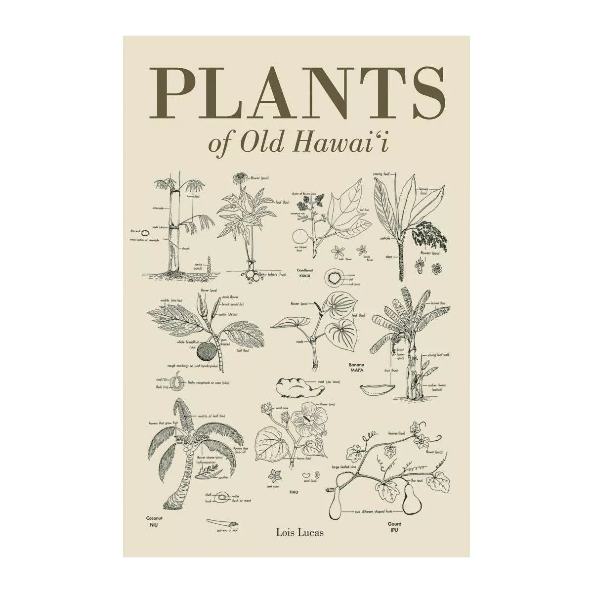 Plants of Old Hawaii