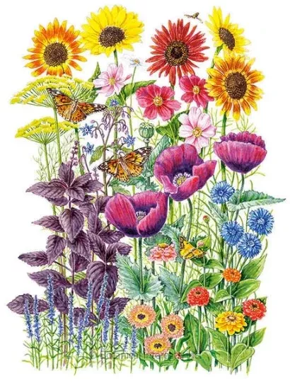 Pollinator Garden Flower Mix SeedsORG