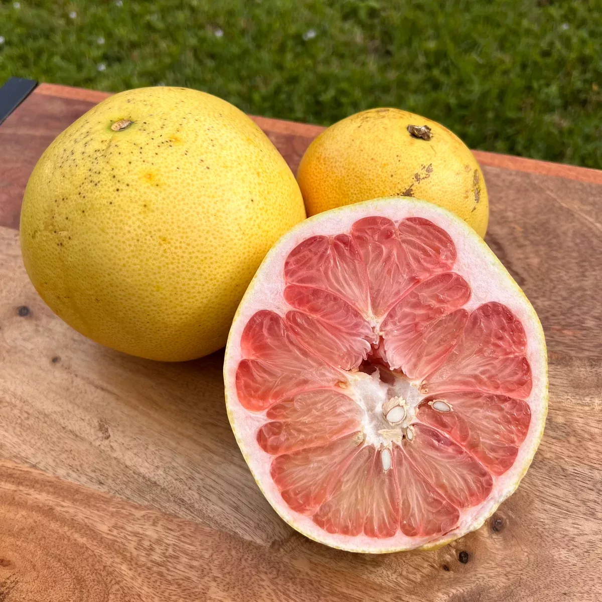Pomelo / Pummelo *Pre-Order*