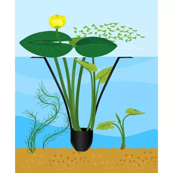 PondSling™ - Aquatic Pot with 28 Inch Long Floating Handles