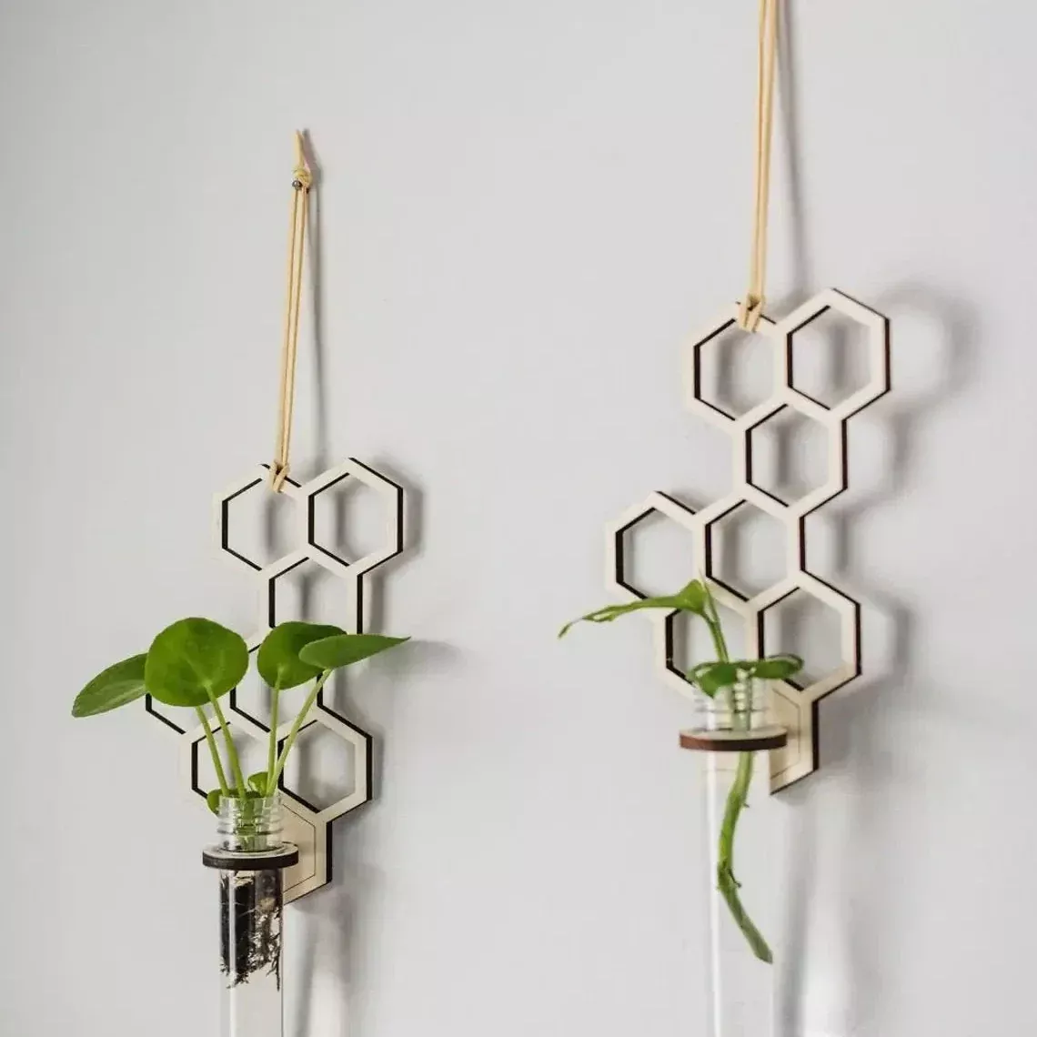 Propagation - Honeycomb Hanging Station (1 tube)