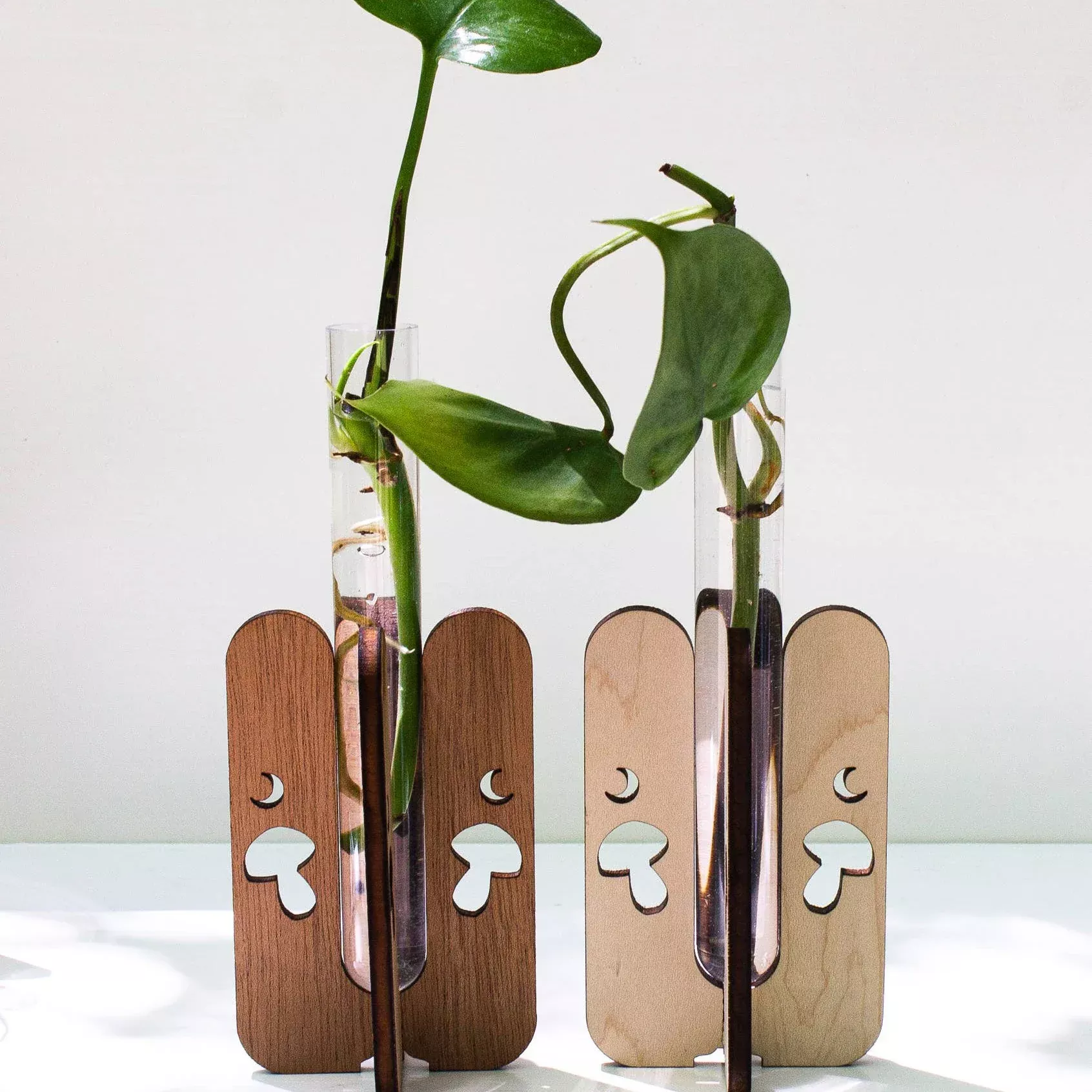 Propagation - Mushroom Tabletop Station