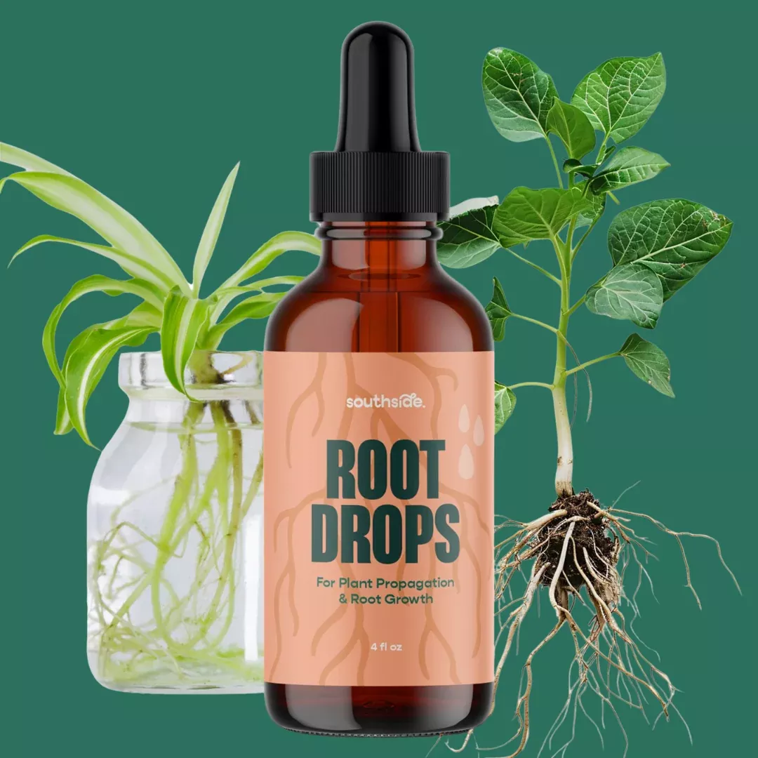 Propagation & Repotting - Root Drops