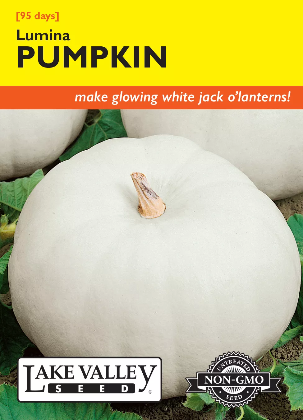 Pumpkin Lumina (White) – Item #525