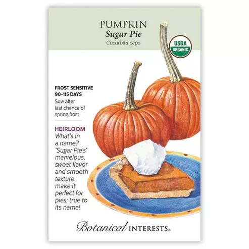 Pumpkin 'Sugar Pie'