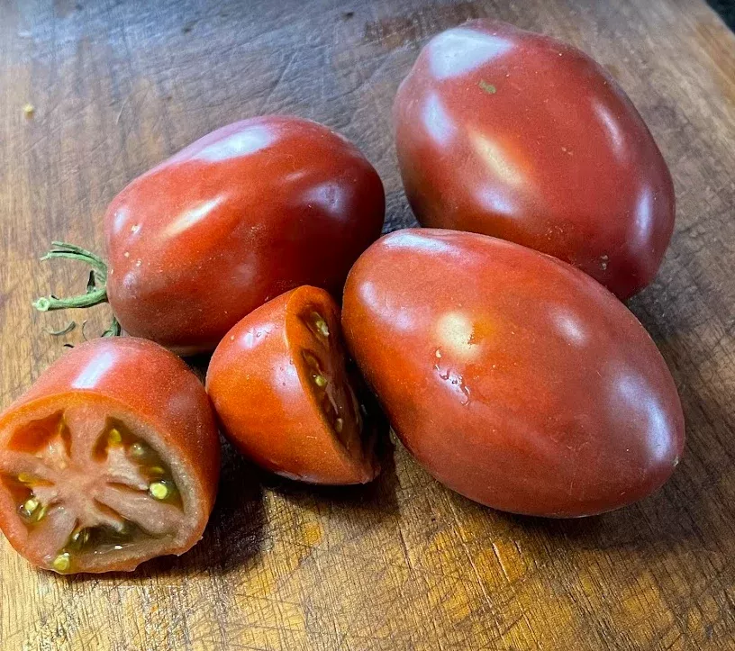 Purple Russian Tomato Seeds