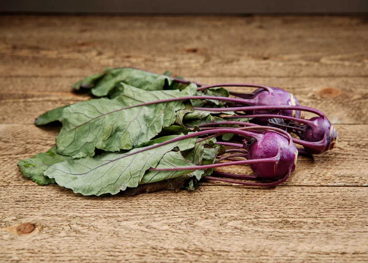Purple Vienna - Kohlrabi Seeds
