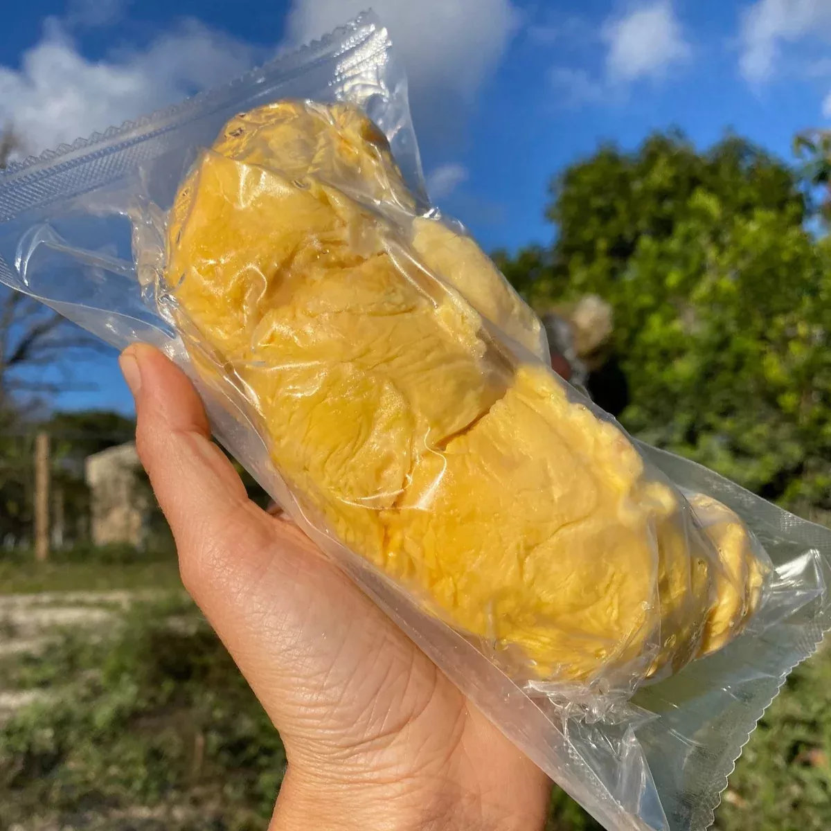 Puyat Durian Packets
