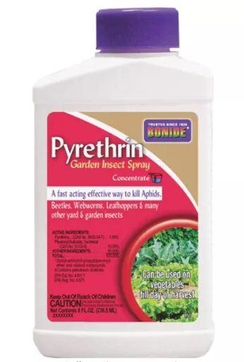 *******Pyrethrin Concentrate 16oz