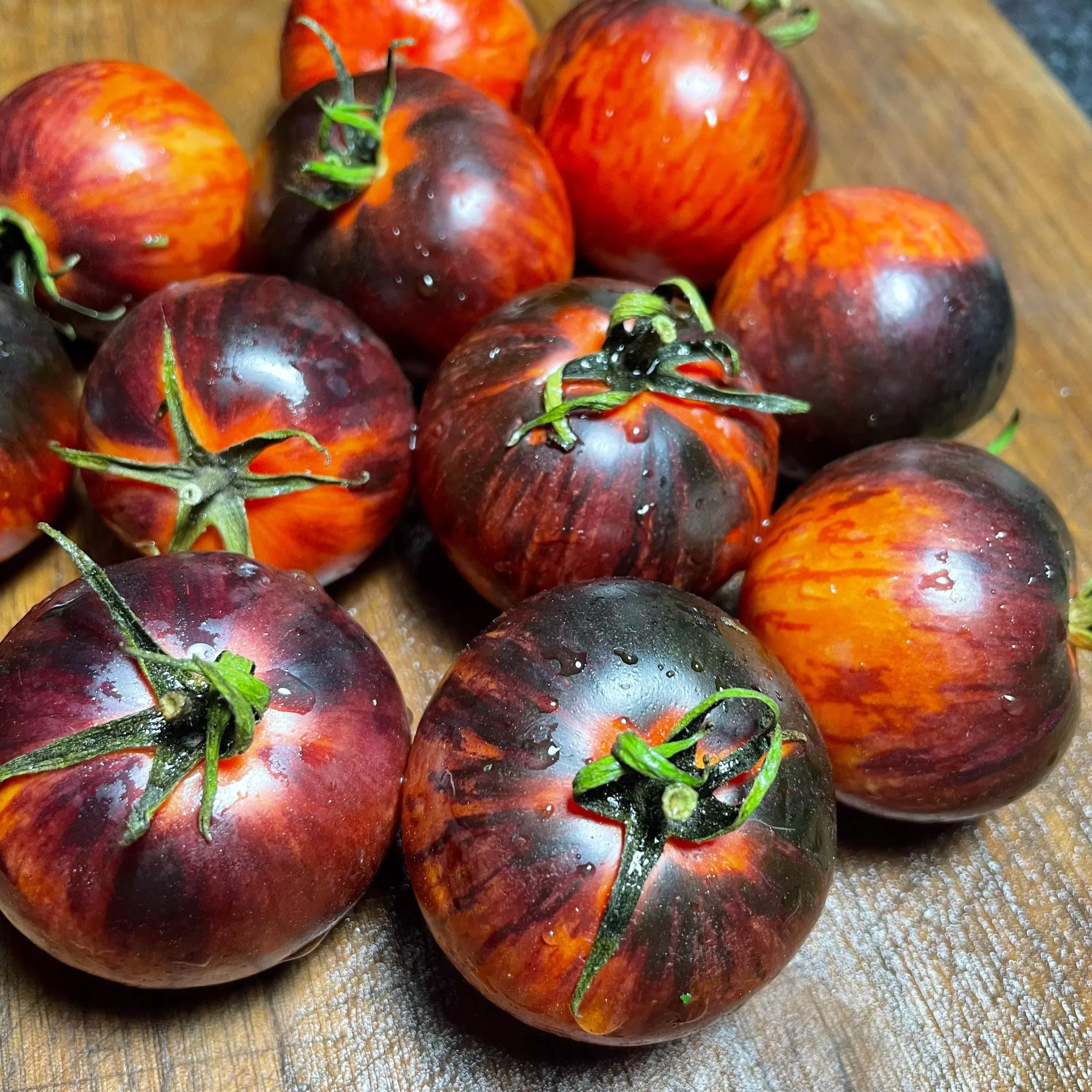 Queen of the Night Tomato Seeds