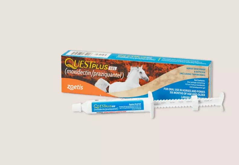 Quest Plus Gel