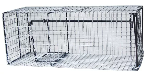 Raccoon Trap