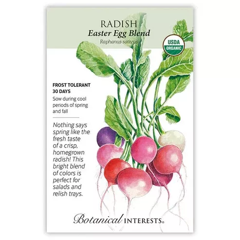 Radish 'Easter Egg Blend'