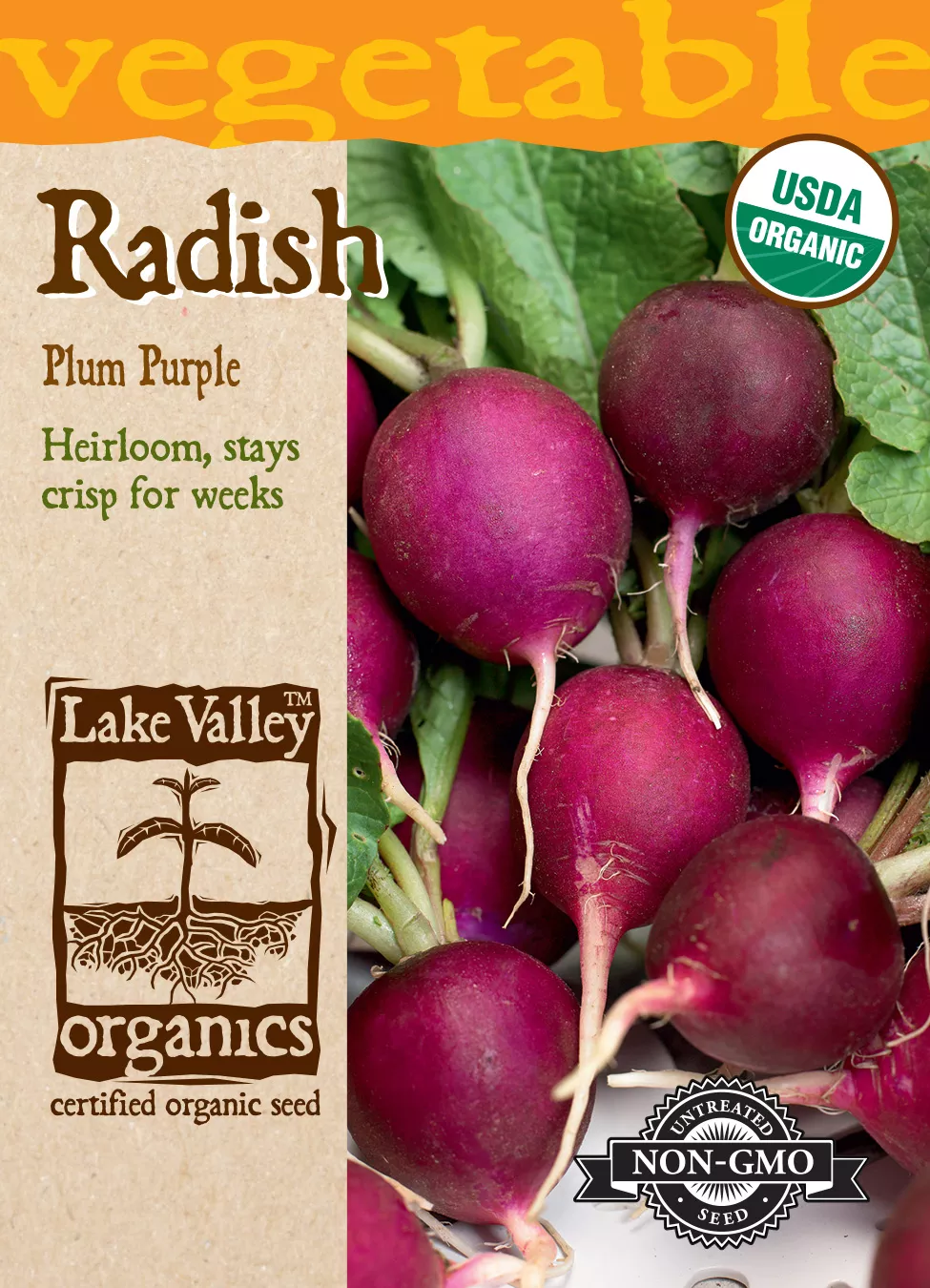 Radish Plum Purple – Item #4286