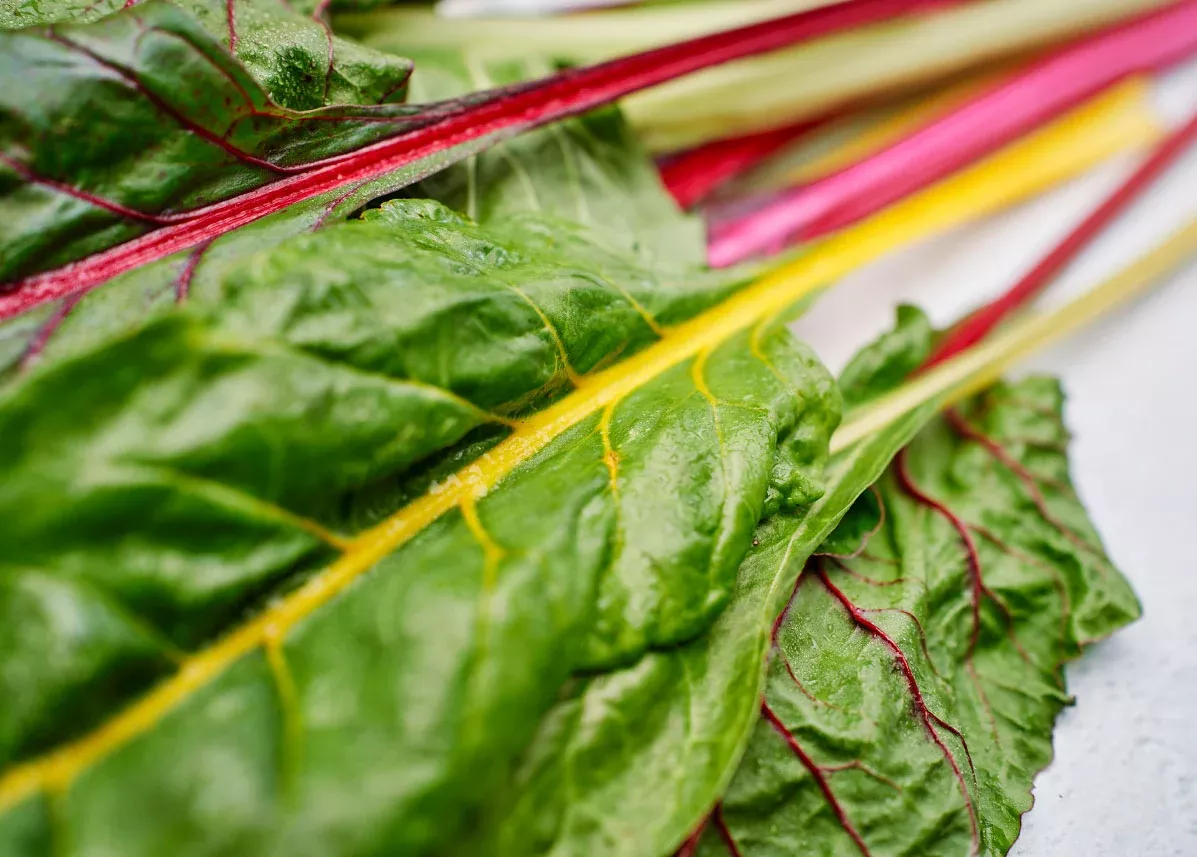 Rainbow Mix - Organic Swiss Chard Seeds