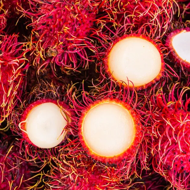 Rambutan