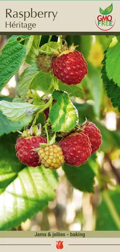 Raspberry Heritage Red 1PP