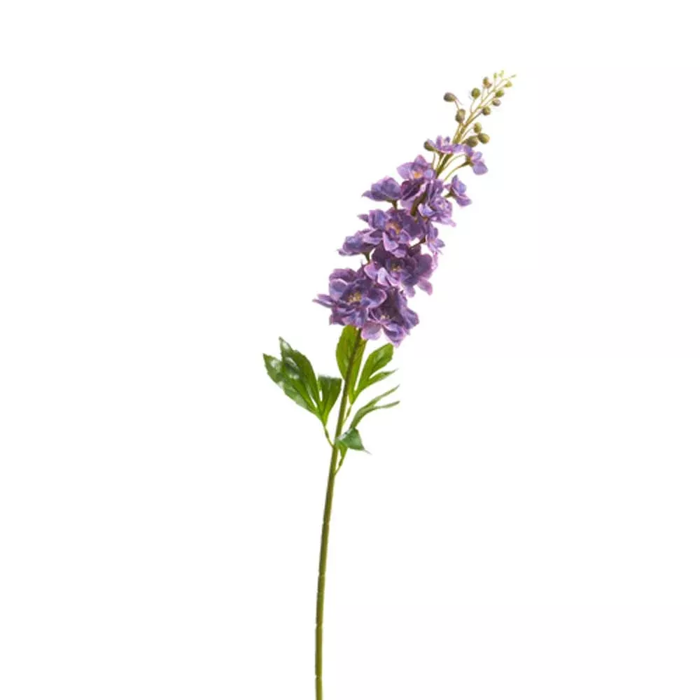 Raz, Delphinium Stem