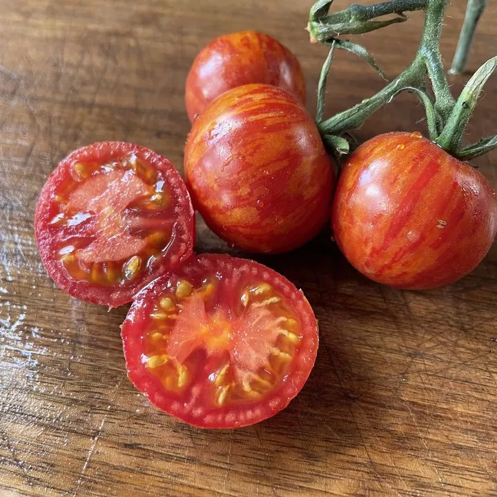 Rebel Scum Wookie Balls Tomato Seeds