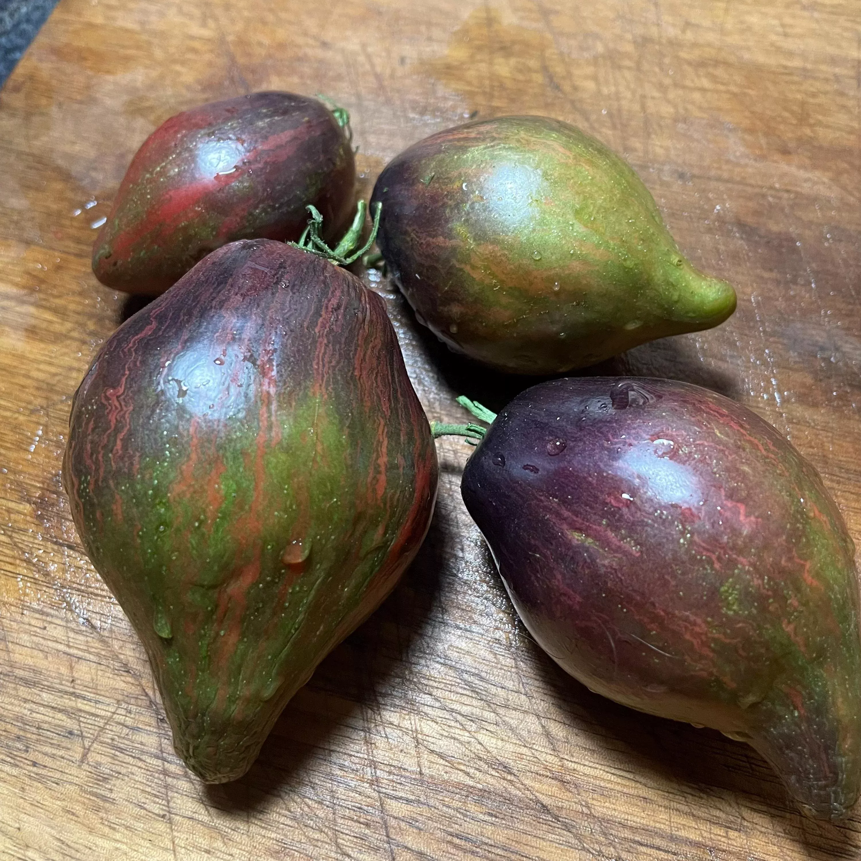 Rebel Starfighter Prime Tomato Seeds