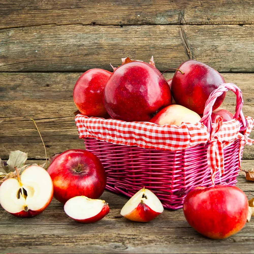 Red Delicious Apple Tree