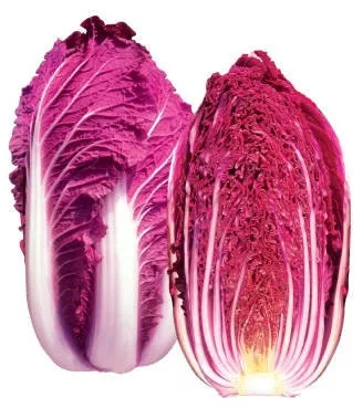 Red Dragon Chinese Cabbage Seeds, Organic Brassica rapa subsp. pekinensis, Napa Cabbage BR0420